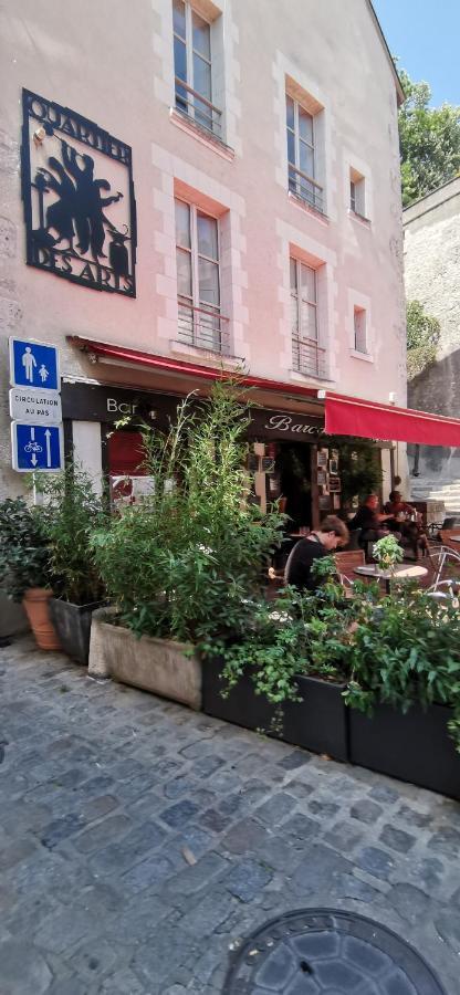 Le Logis De La Rue Des Arts Apartment Blois Luaran gambar