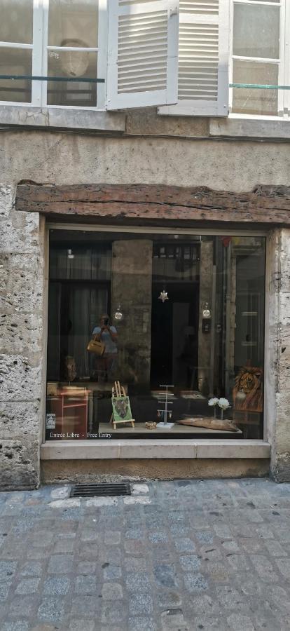 Le Logis De La Rue Des Arts Apartment Blois Luaran gambar