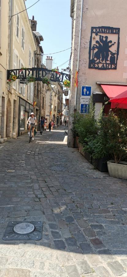 Le Logis De La Rue Des Arts Apartment Blois Luaran gambar