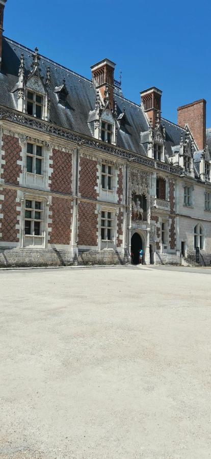 Le Logis De La Rue Des Arts Apartment Blois Luaran gambar