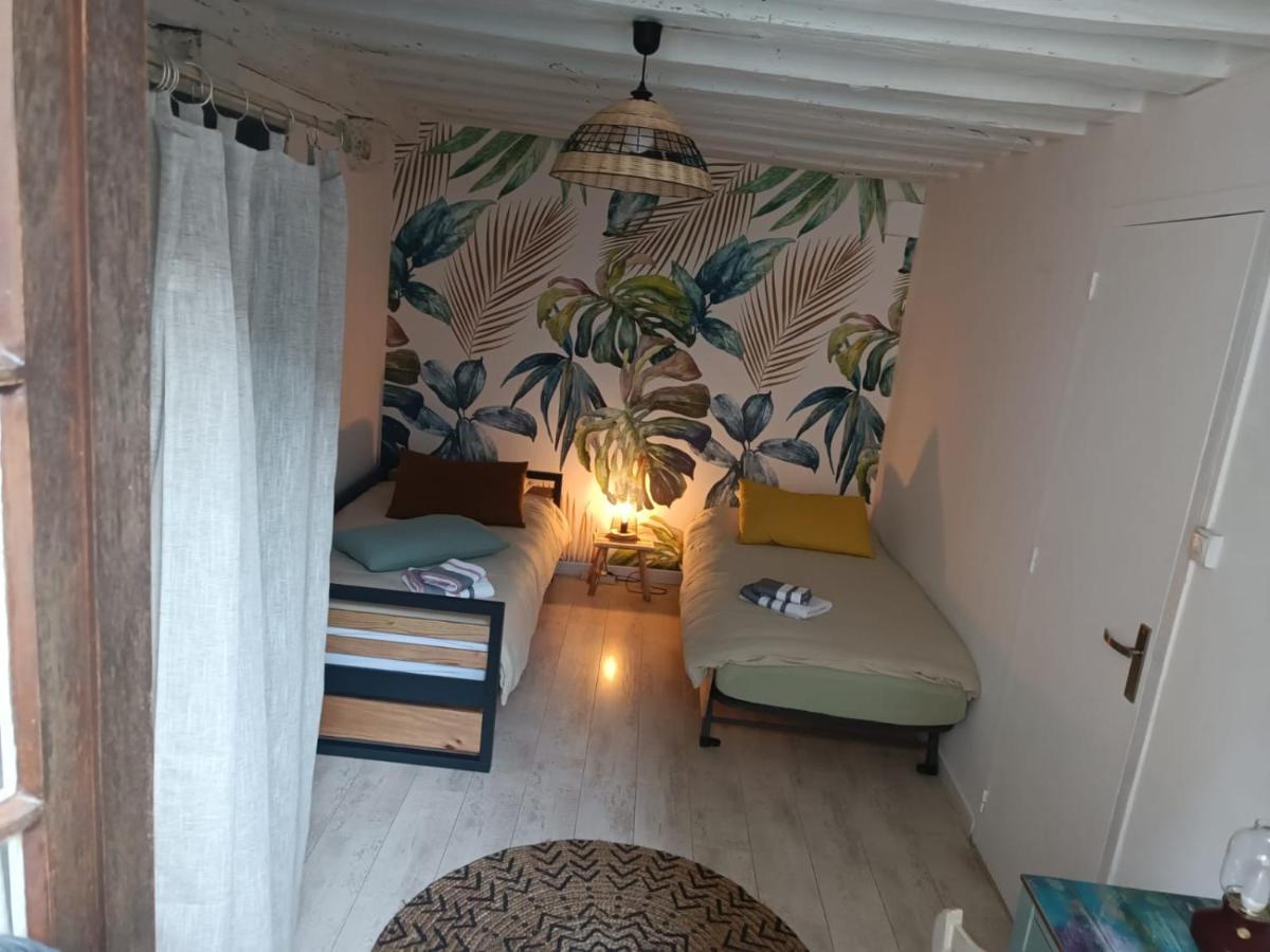 Le Logis De La Rue Des Arts Apartment Blois Luaran gambar