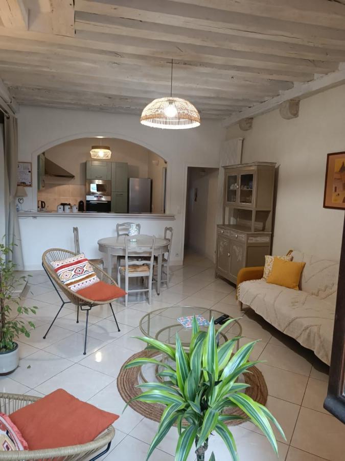 Le Logis De La Rue Des Arts Apartment Blois Luaran gambar